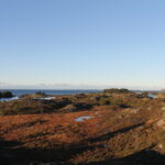 Ovenfor Børildvågen høst 2025